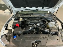 
										2024 Ford Mustang full									